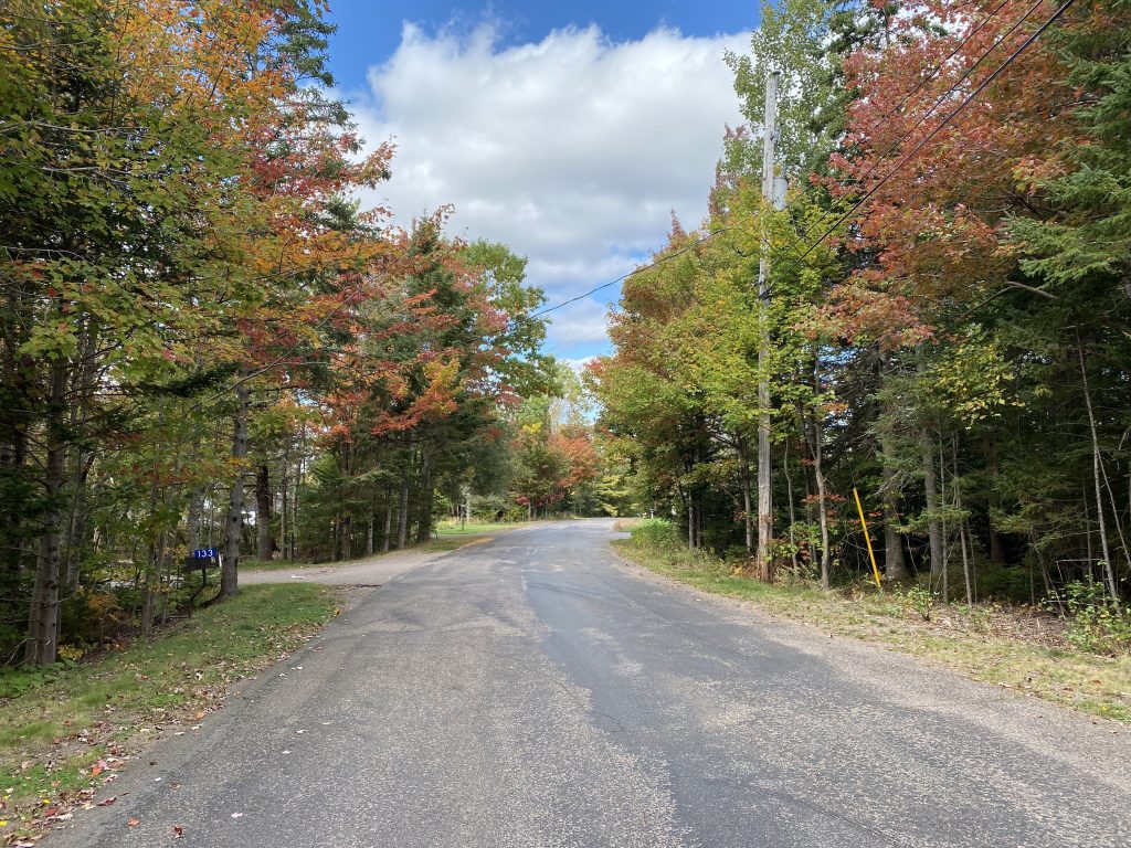 Road and driveways off with trees starting to change colours. Mix of pines, yellows and reds.